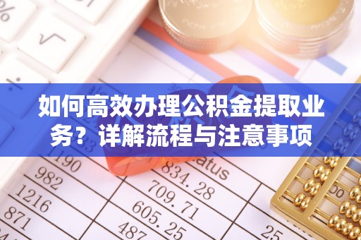 金普新区如何高效办理公积金提取业务？详解流程与注意事项