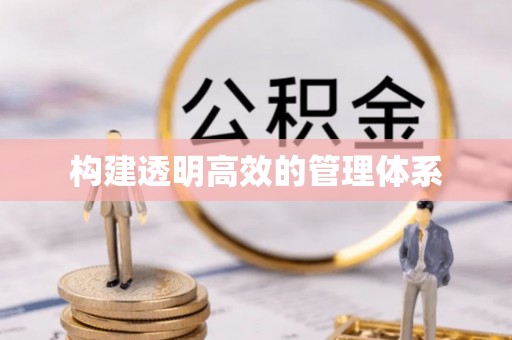 金普新区构建透明高效的管理体系