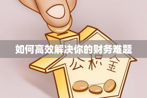 金普新区如何高效解决你的财务难题