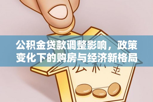 金普新区公积金贷款调整影响，政策变化下的购房与经济新格局