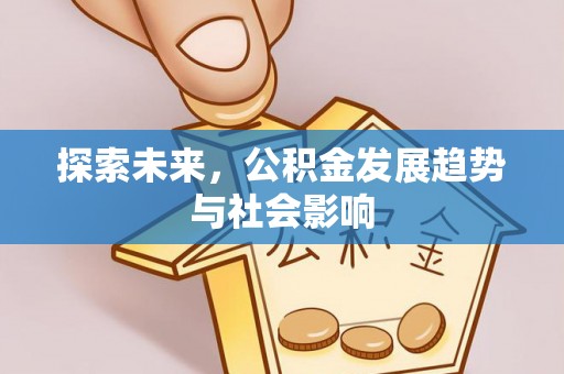 金普新区探索未来，公积金发展趋势与社会影响
