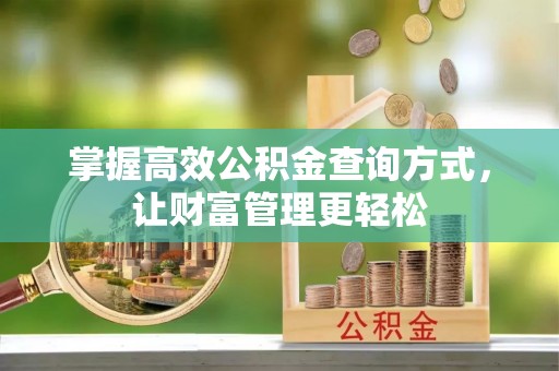 金普新区掌握高效公积金查询方式，让财富管理更轻松
