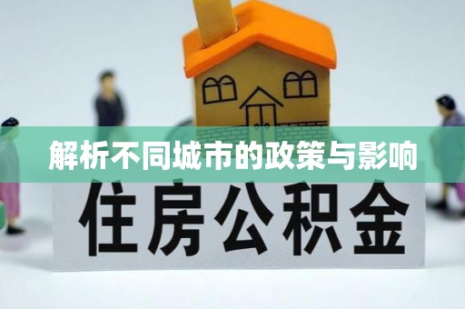金普新区解析不同城市的政策与影响