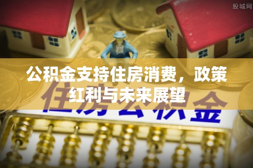 金普新区公积金支持住房消费，政策红利与未来展望