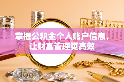 金普新区掌握公积金个人账户信息，让财富管理更高效