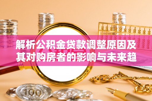 金普新区解析公积金贷款调整原因及其对购房者的影响与未来趋势