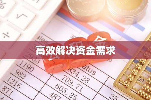 金普新区高效解决资金需求