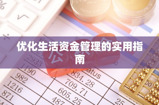 金普新区优化生活资金管理的实用指南