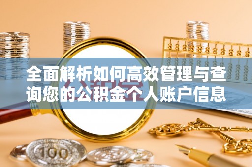 金普新区全面解析如何高效管理与查询您的公积金个人账户信息