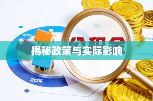 金普新区揭秘政策与实际影响
