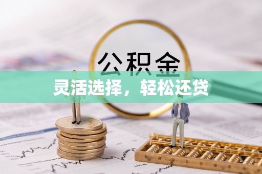 金普新区灵活选择，轻松还贷