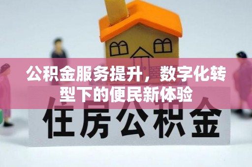 金普新区公积金服务提升，数字化转型下的便民新体验