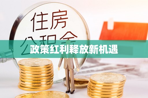 金普新区政策红利释放新机遇