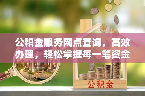 金普新区公积金服务网点查询，高效办理，轻松掌握每一笔资金动态