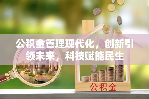 金普新区公积金管理现代化，创新引领未来，科技赋能民生