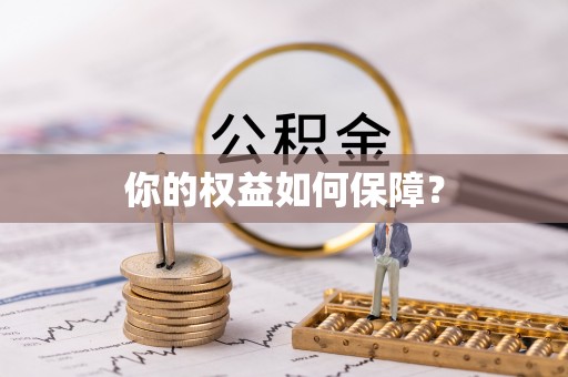 金普新区你的权益如何保障？
