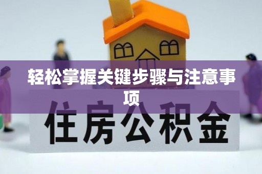 金普新区轻松掌握关键步骤与注意事项