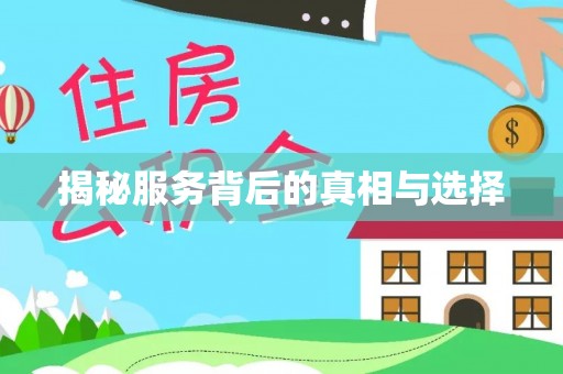 金普新区揭秘服务背后的真相与选择