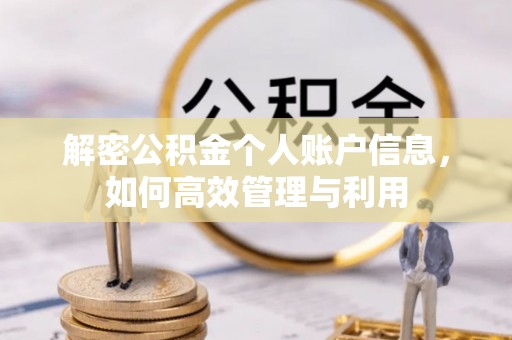 金普新区解密公积金个人账户信息，如何高效管理与利用