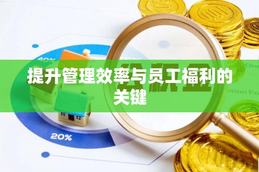 金普新区提升管理效率与员工福利的关键