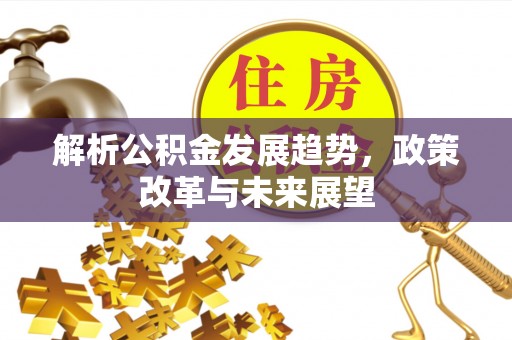 金普新区解析公积金发展趋势，政策改革与未来展望