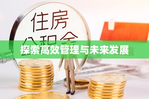 金普新区探索高效管理与未来发展