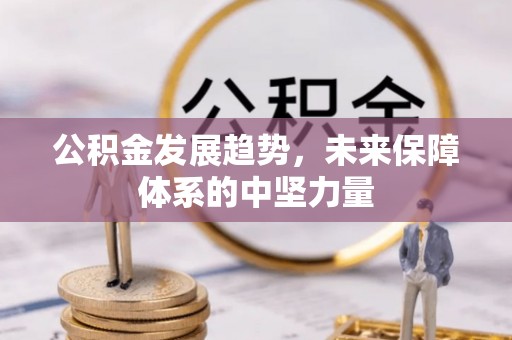 金普新区公积金发展趋势，未来保障体系的中坚力量