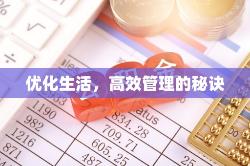 金普新区优化生活，高效管理的秘诀