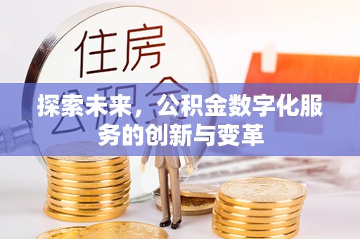 金普新区探索未来，公积金数字化服务的创新与变革