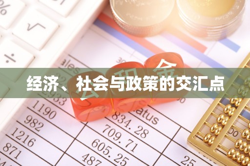 金普新区经济、社会与政策的交汇点