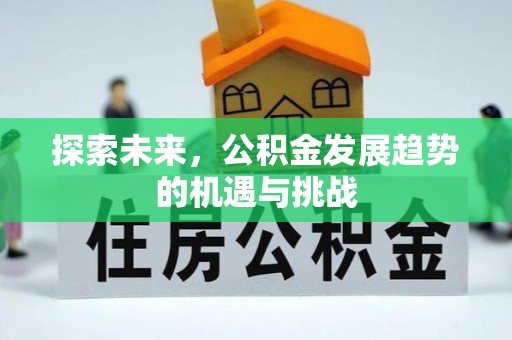 金普新区探索未来，公积金发展趋势的机遇与挑战