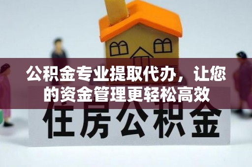 金普新区公积金专业提取代办，让您的资金管理更轻松高效