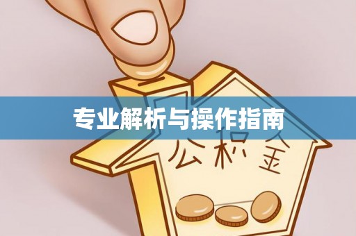 金普新区专业解析与操作指南