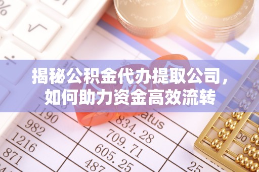金普新区揭秘公积金代办提取公司，如何助力资金高效流转