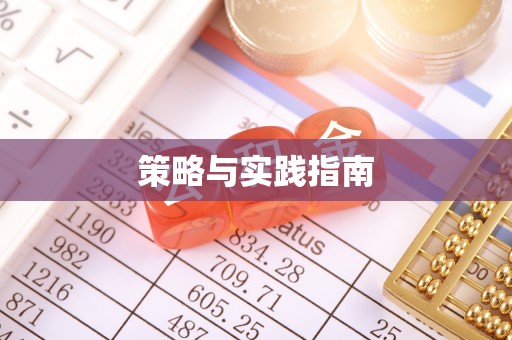金普新区策略与实践指南