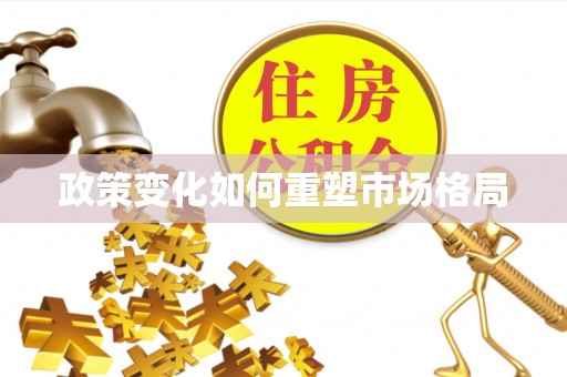 金普新区政策变化如何重塑市场格局