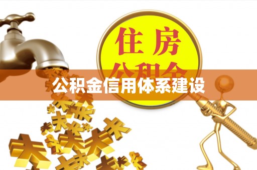 金普新区公积金信用体系建设