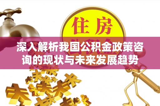 金普新区深入解析我国公积金政策咨询的现状与未来发展趋势