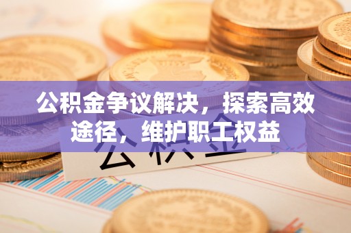 金普新区公积金争议解决，探索高效途径，维护职工权益