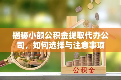金普新区揭秘小额公积金提取代办公司，如何选择与注意事项