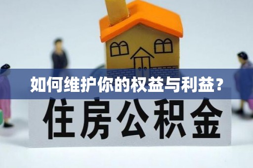 金普新区如何维护你的权益与利益？