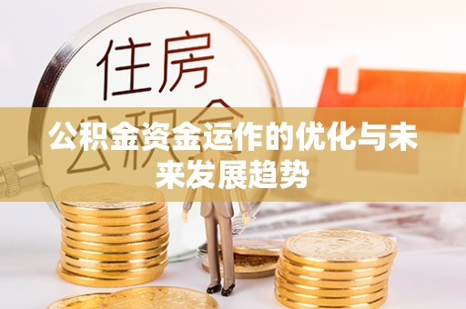 金普新区公积金资金运作的优化与未来发展趋势