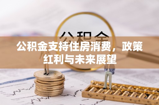 金普新区公积金支持住房消费，政策红利与未来展望