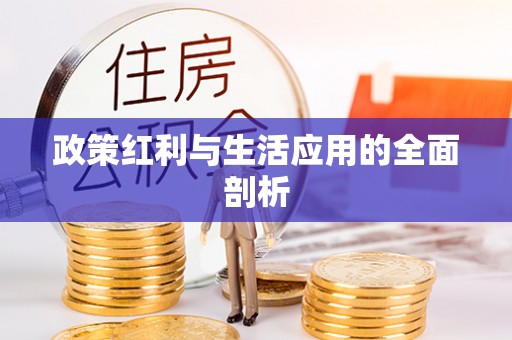 金普新区政策红利与生活应用的全面剖析