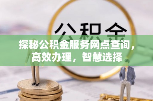 金普新区探秘公积金服务网点查询，高效办理，智慧选择