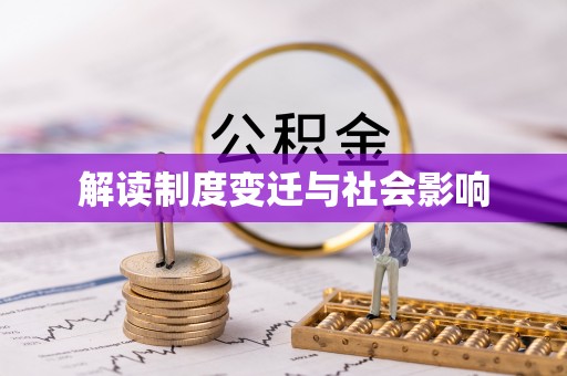金普新区解读制度变迁与社会影响