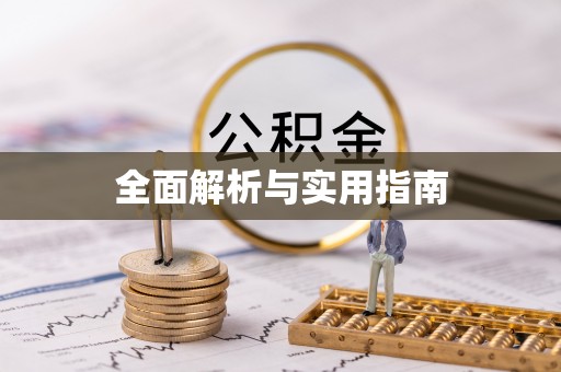 金普新区全面解析与实用指南