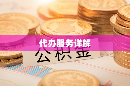 金普新区代办服务详解