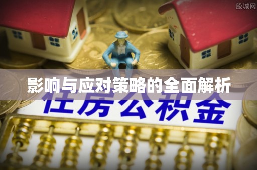 金普新区影响与应对策略的全面解析