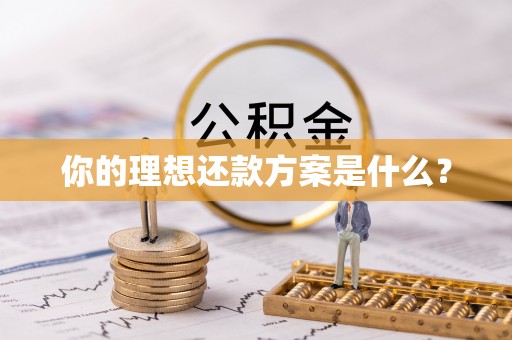 金普新区你的理想还款方案是什么？